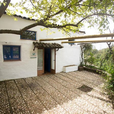 阿拉亚Casita Esperanza别墅 外观 照片