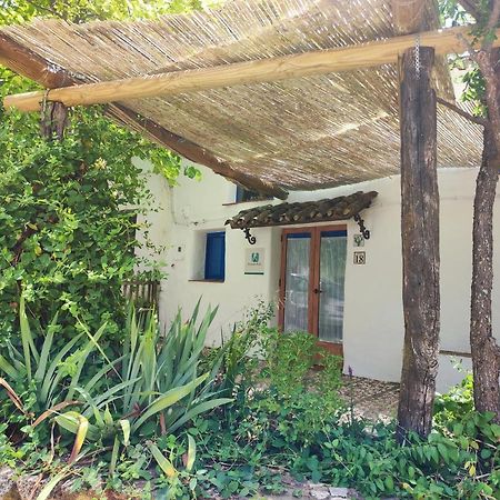 阿拉亚Casita Esperanza别墅 外观 照片