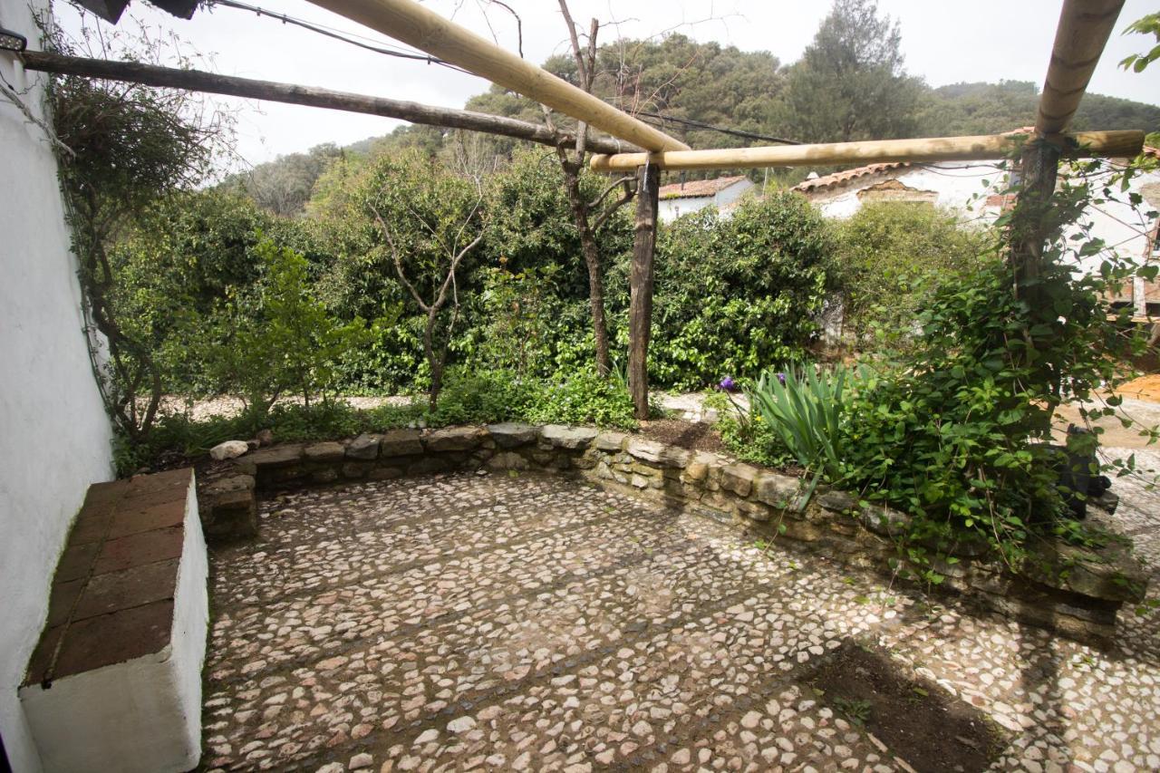 阿拉亚Casita Esperanza别墅 外观 照片