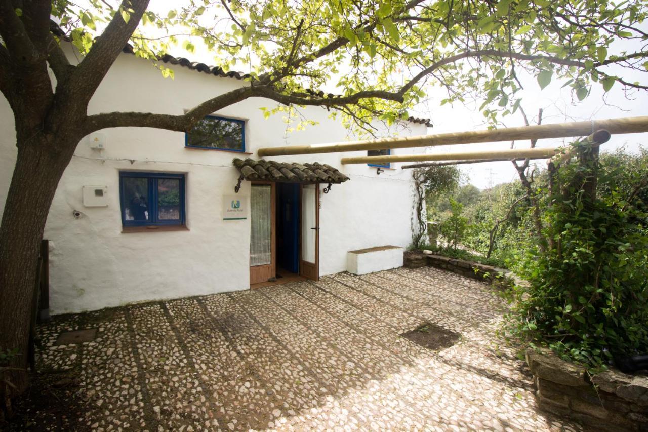 阿拉亚Casita Esperanza别墅 外观 照片