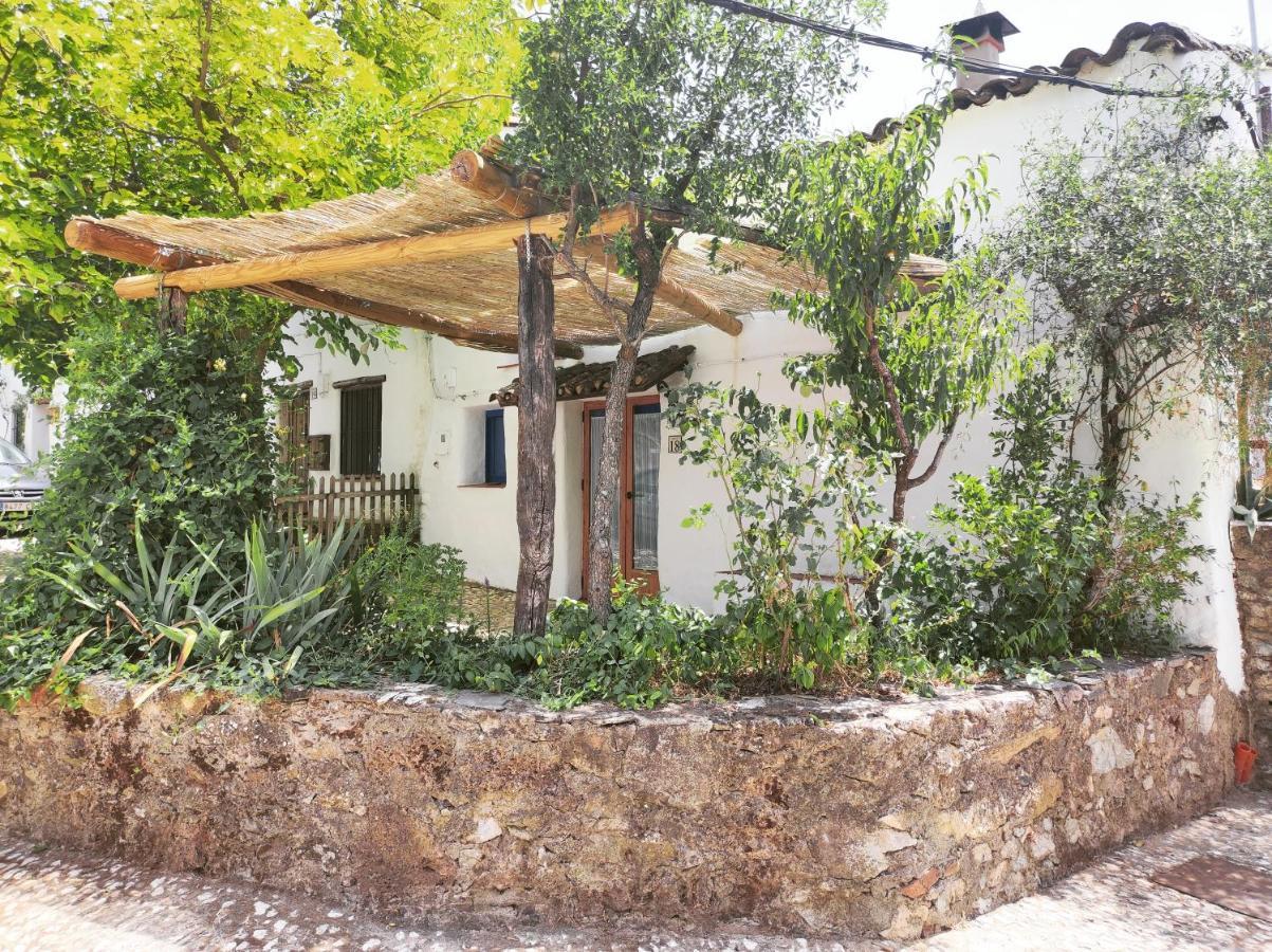 阿拉亚Casita Esperanza别墅 外观 照片