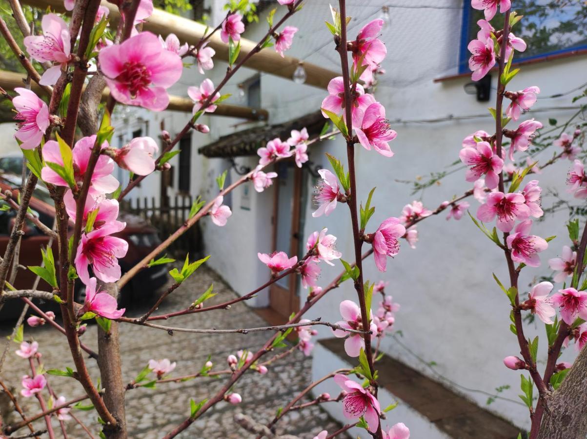 阿拉亚Casita Esperanza别墅 外观 照片